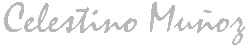 Celestino Muñoz